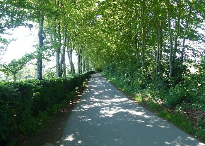 Tatil Evi Eifelnest Comfortable Simmerath